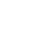Logo Lionzone