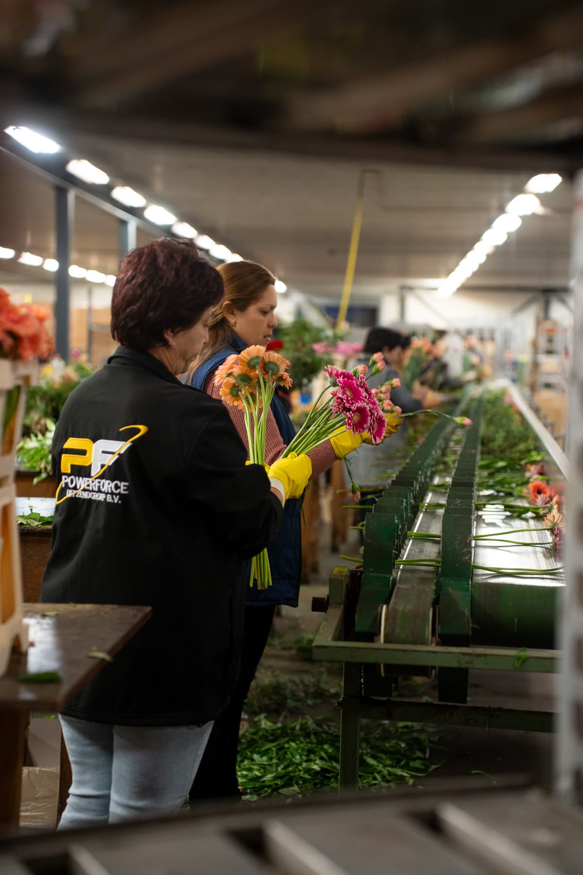 Powerforce B.V. Uitzendgroep &#8211; Geheel nieuwe website op maat met Contractensyteem