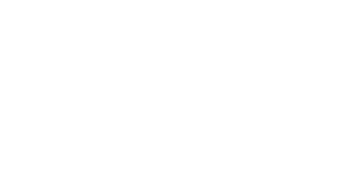 BSM Diensten